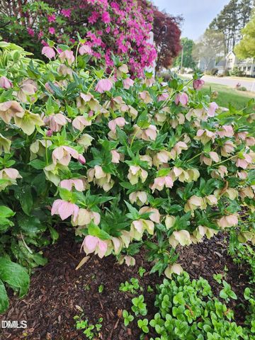 501 Samara Street, Apex, NC 27502