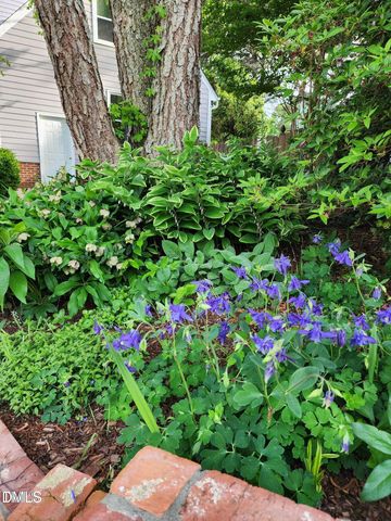 501 Samara Street, Apex, NC 27502