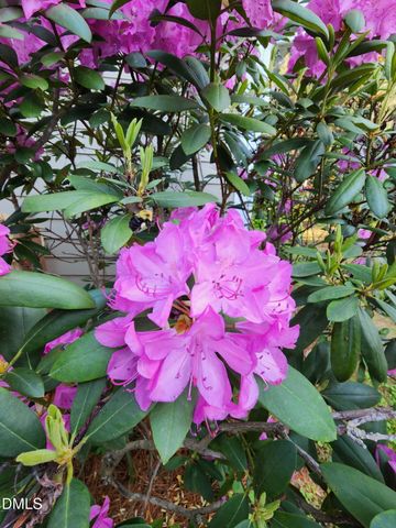 501 Samara Street, Apex, NC 27502