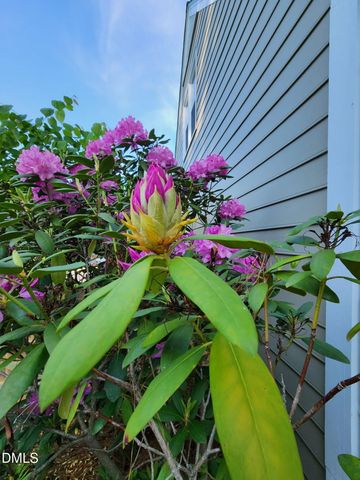 501 Samara Street, Apex, NC 27502