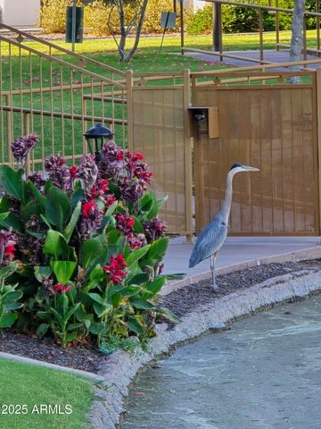 2511 W QUEEN CREEK Road 374, Chandler, AZ 85248