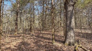 000 County Road 400-A #2, Ava, MO 65608