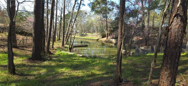 0 Big Deer Drive, Houston, TX 77532