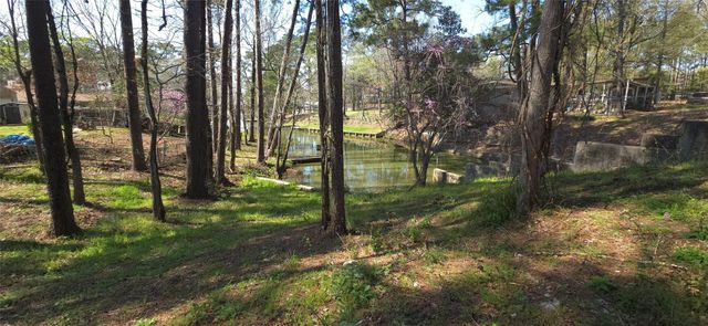 0 Big Deer Drive, Houston, TX 77532