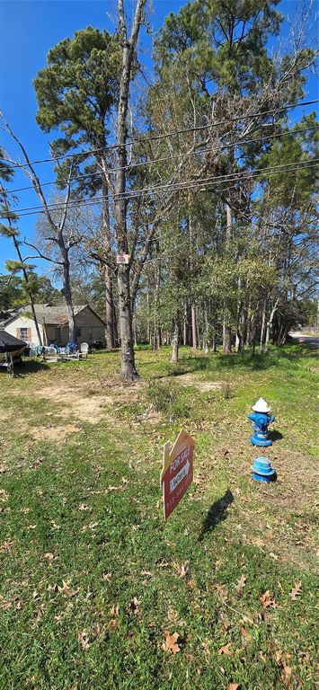 0 Big Deer Drive, Houston, TX 77532