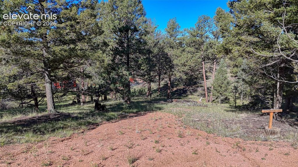 91 Utah Way, Florissant, CO 80816 — exterior
