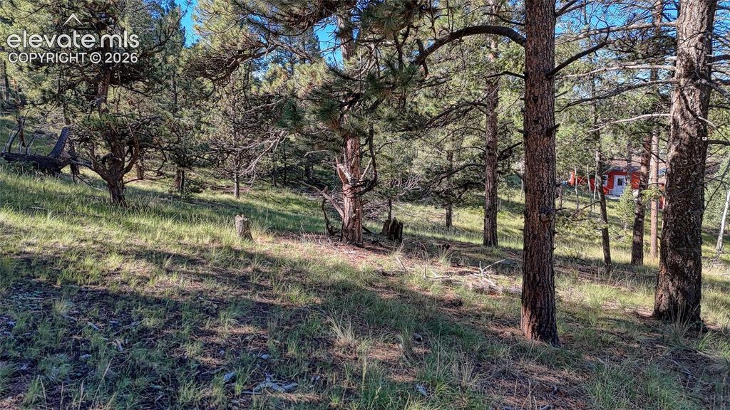 91 Utah Way, Florissant, CO 80816 — photo 2