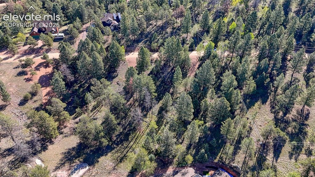 91 Utah Way, Florissant, CO 80816 — photo 3