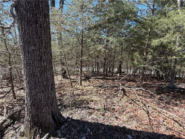 Rocky Top Circle, Holiday Island, AR 72631