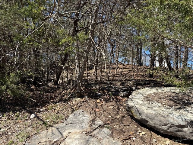 Rocky Top Circle, Holiday Island, AR 72631