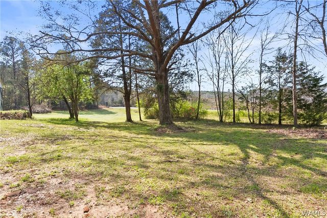 5080 Benevola, Gordo, AL 35466