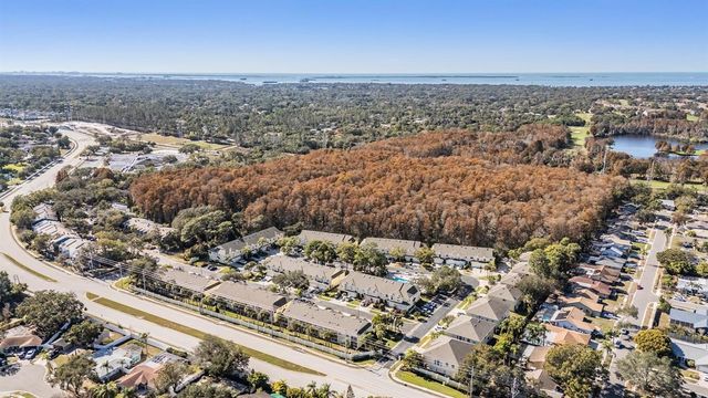 3494 PRIMROSE WAY, Palm Harbor, FL 34683