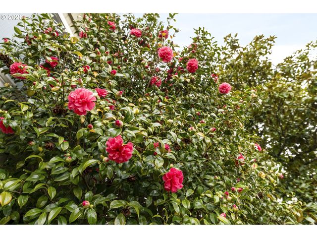 200 E FOOTHILLS Dr, Newberg, OR 97132