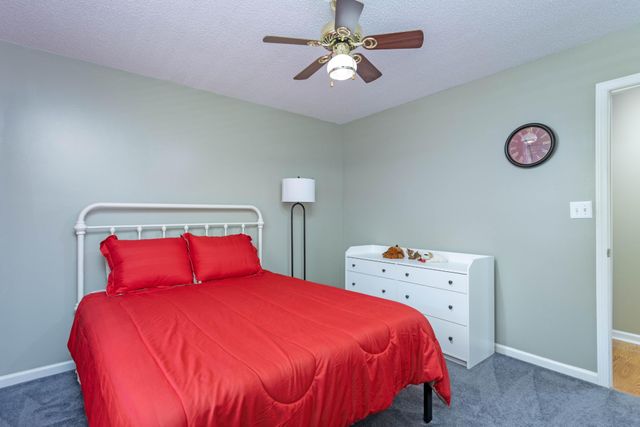 446 Upper Clear Creek Road, Spring City, TN 37381