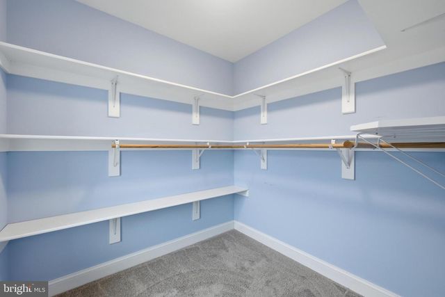 226 SUMMERFIELD DR, Winchester, VA 22602