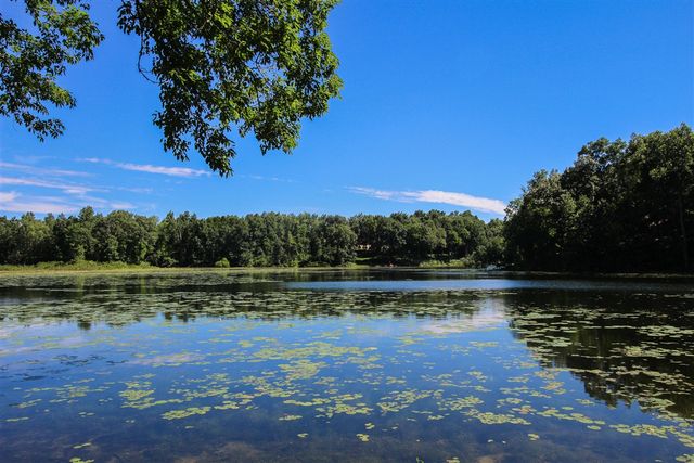 60061 Shafer Brothers Road, Three Rivers, MI 49093