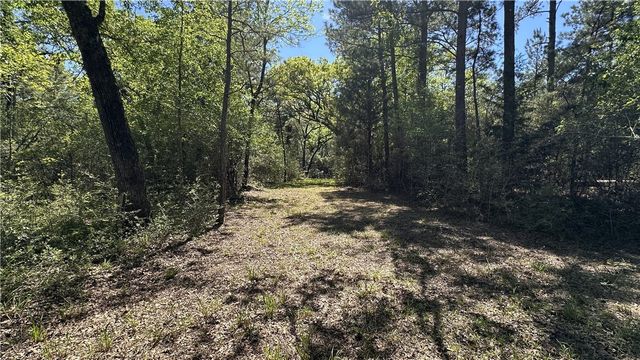 9884 Rocky Ridge Lane, Madisonville, TX 77864