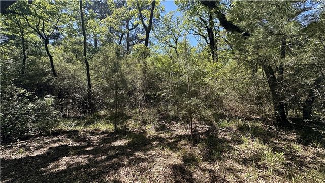 9884 Rocky Ridge Lane, Madisonville, TX 77864