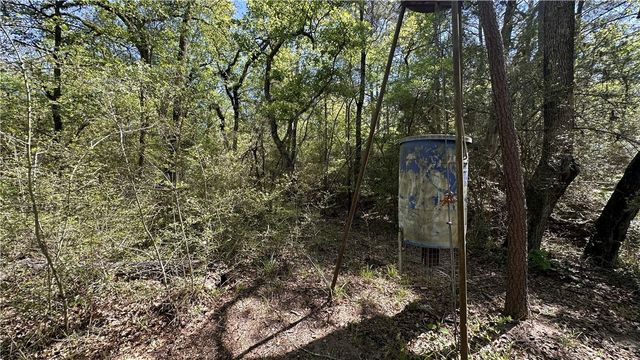 9884 Rocky Ridge Lane, Madisonville, TX 77864