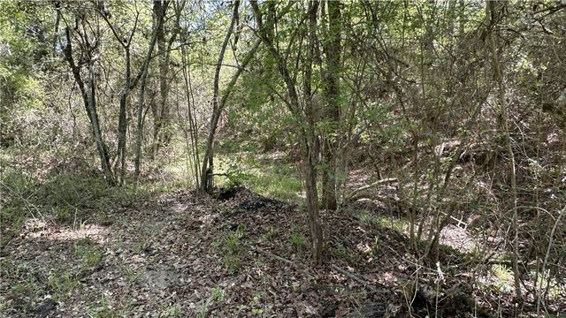 9884 Rocky Ridge Lane, Madisonville, TX 77864
