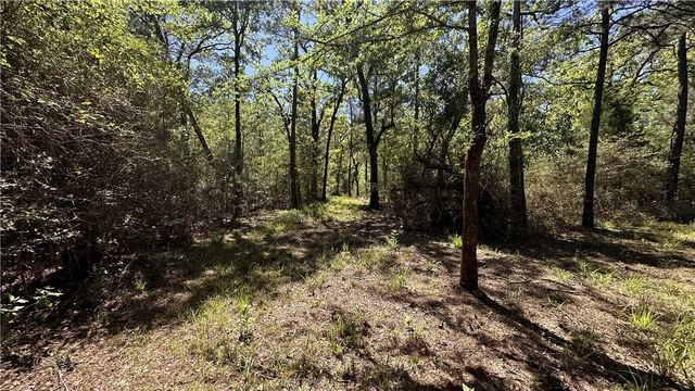 9884 Rocky Ridge Lane, Madisonville, TX 77864