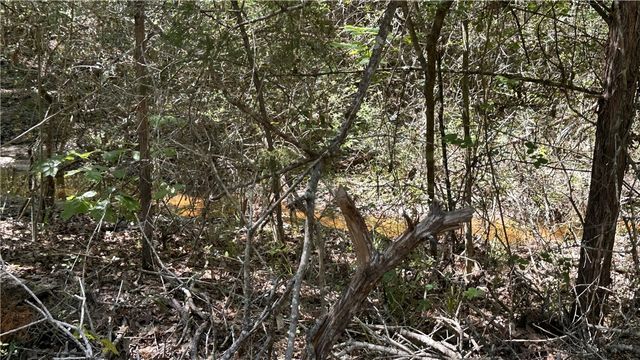 9884 Rocky Ridge Lane, Madisonville, TX 77864