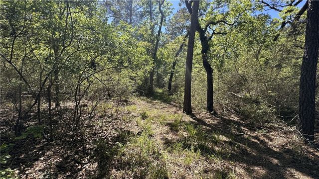 9884 Rocky Ridge Lane, Madisonville, TX 77864
