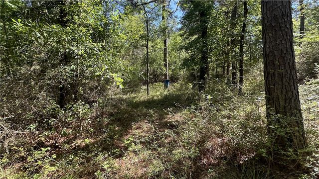 9884 Rocky Ridge Lane, Madisonville, TX 77864