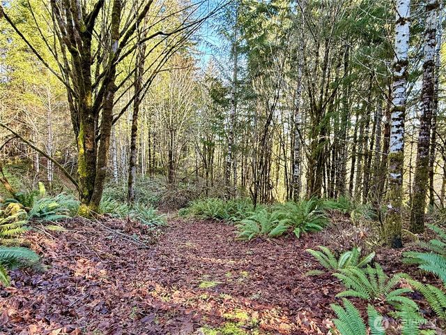 7035 Cedar Flats Road SW, Olympia, WA 98512