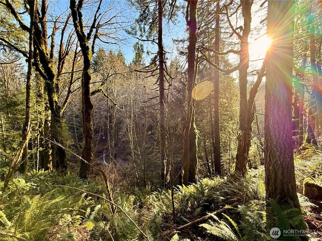 7035 Cedar Flats Road SW, Olympia, WA 98512