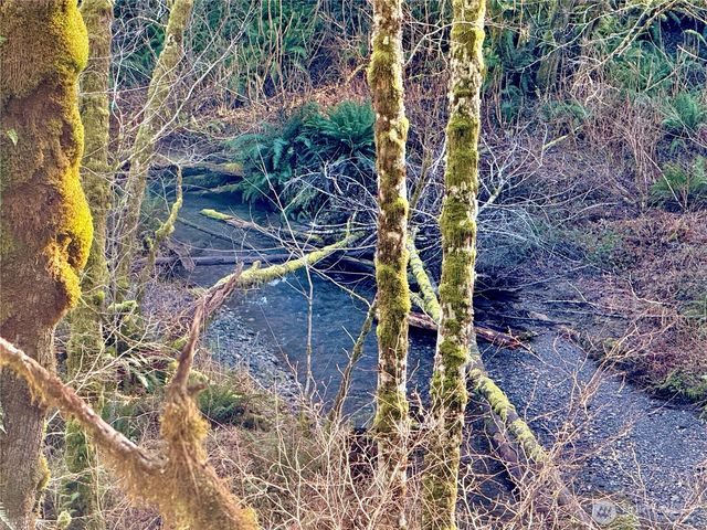 7035 Cedar Flats Road SW, Olympia, WA 98512