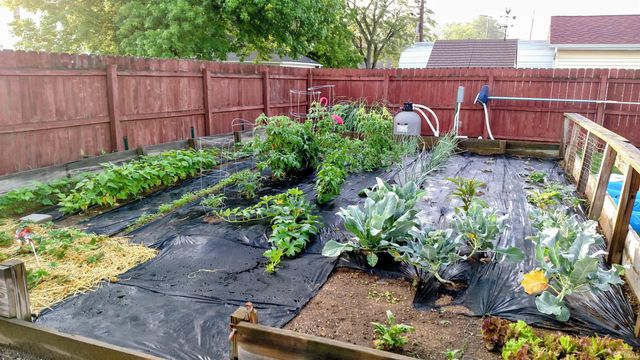 1433 Poplar Street, Huntington, IN 46750