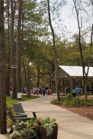 11935 Braided Mane Street, Montgomery, TX 77316