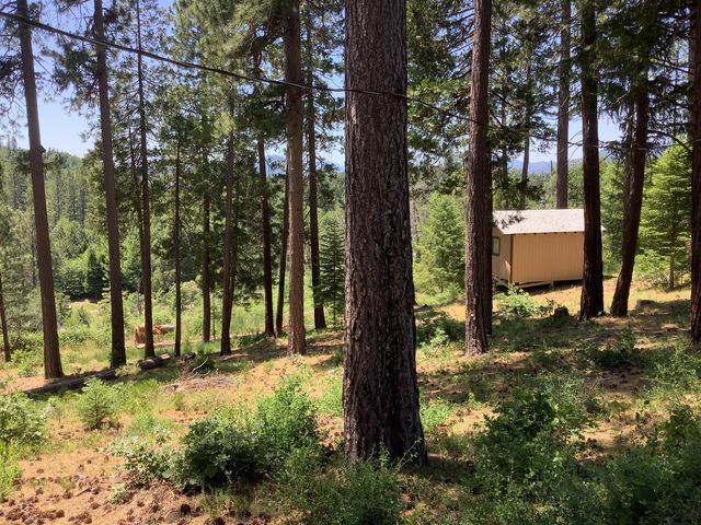 19158 Montgomery Valley Drive, Montgomery Creek, CA 96065