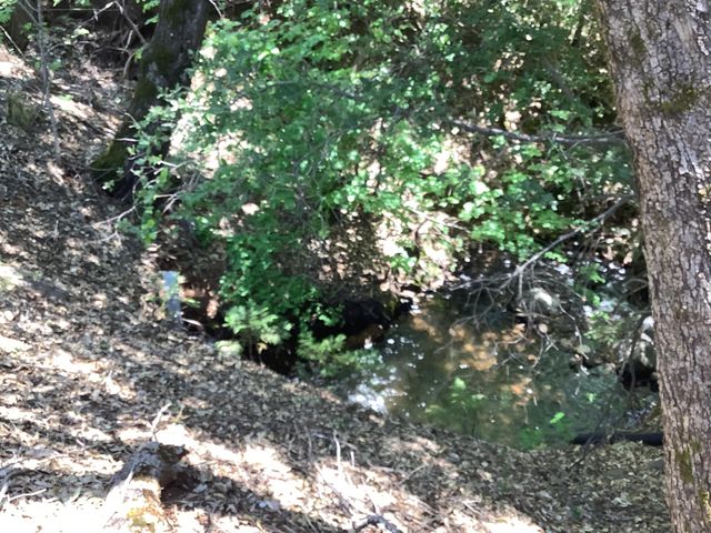 19158 Montgomery Valley Drive, Montgomery Creek, CA 96065