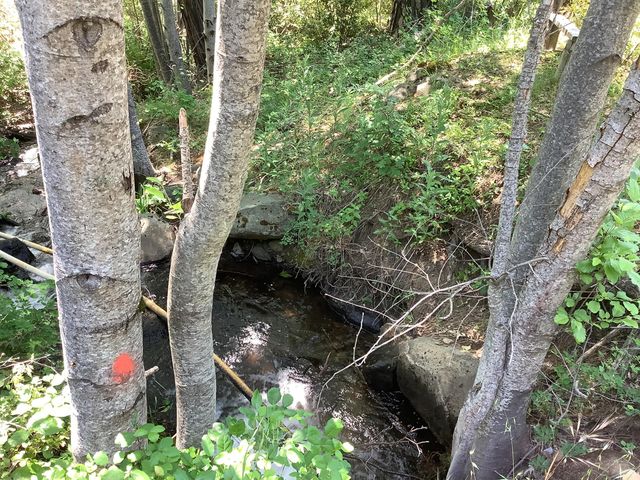 19158 Montgomery Valley Drive, Montgomery Creek, CA 96065