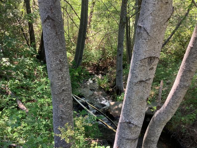 19158 Montgomery Valley Drive, Montgomery Creek, CA 96065