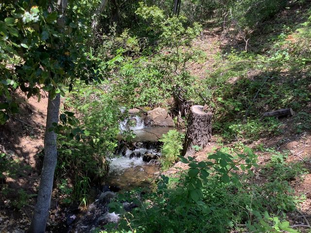 19158 Montgomery Valley Drive, Montgomery Creek, CA 96065