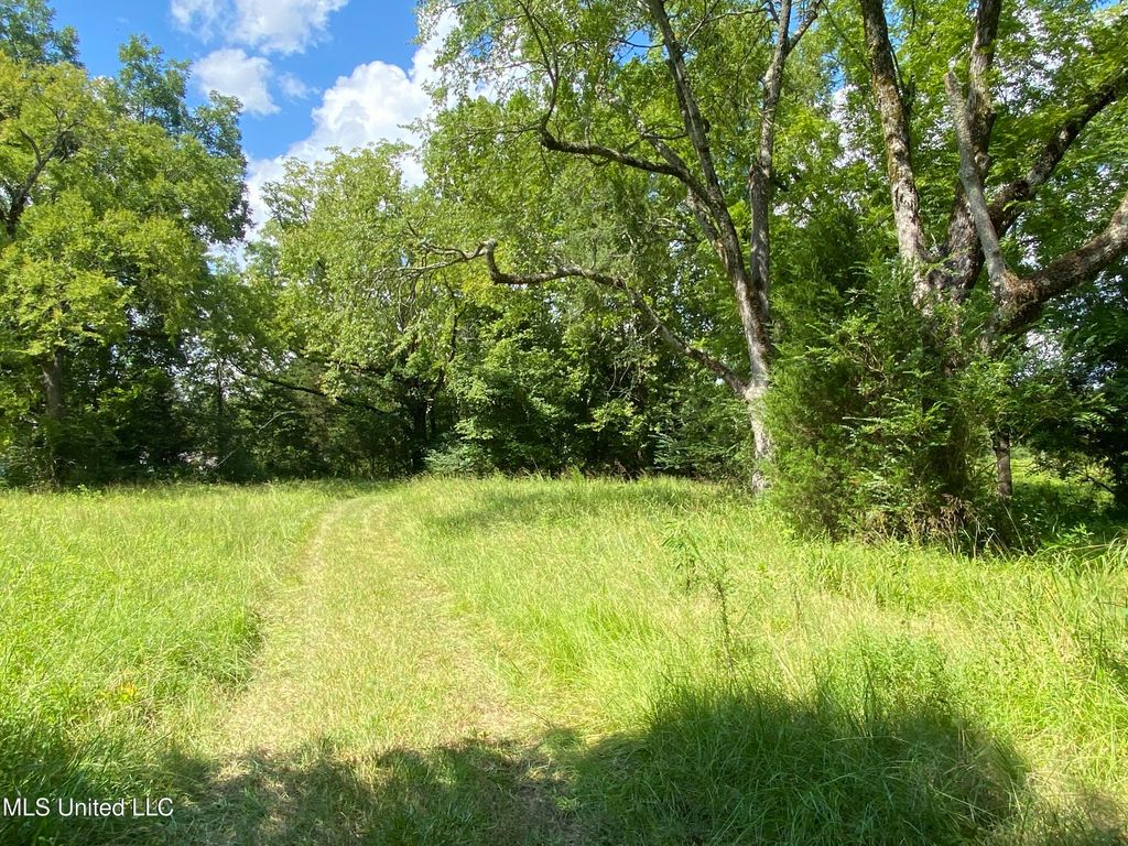 0 Skating Rink Road, Red Banks, MS 38661 — photo 2