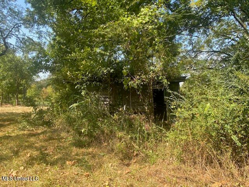 0 Skating Rink Road, Red Banks, MS 38661 — photo 3