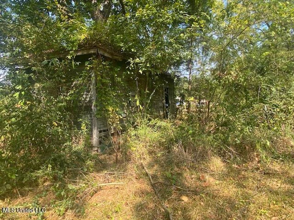 0 Skating Rink Road, Red Banks, MS 38661 — photo 4