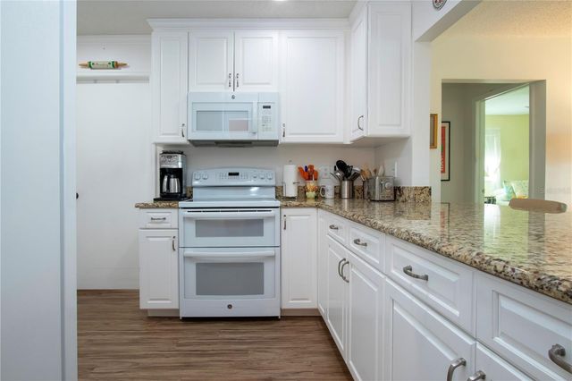 203 AUSTIN HILL COURT, Sun City Center, FL 33573