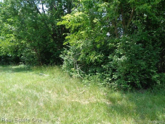 14605 Dacosta Street, Detroit, MI 48223