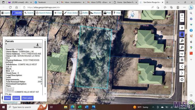 11131 Tynewood Ave, Central, LA 70818