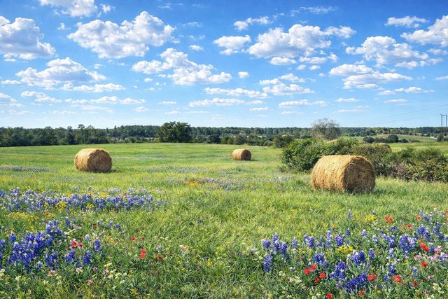 00 W Cr 315 E, Buffalo, TX 75831