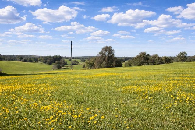 00 W Cr 315 E, Buffalo, TX 75831