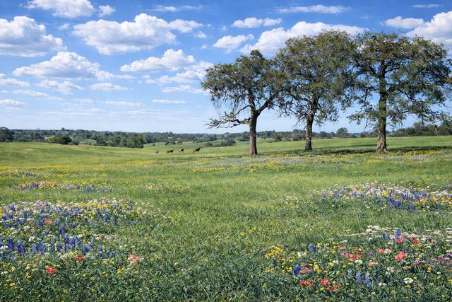 00 W Cr 315 E, Buffalo, TX 75831