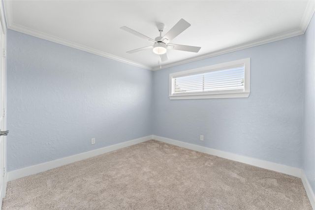 8118 Albacore Drive 7, Houston, TX 77074
