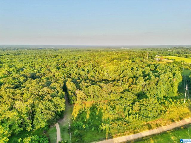 701 COUNTY ROAD 391, Clanton, AL 35045