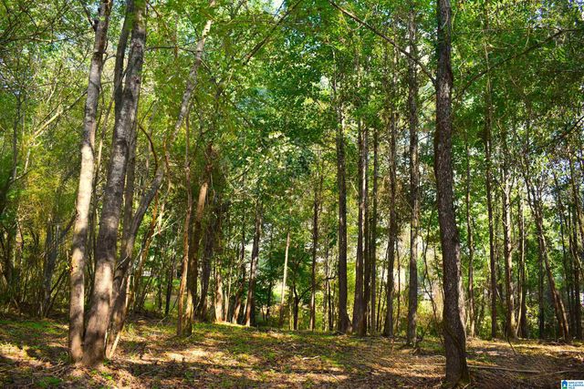 9171 BILL JONES ROAD, Warrior, AL 35180